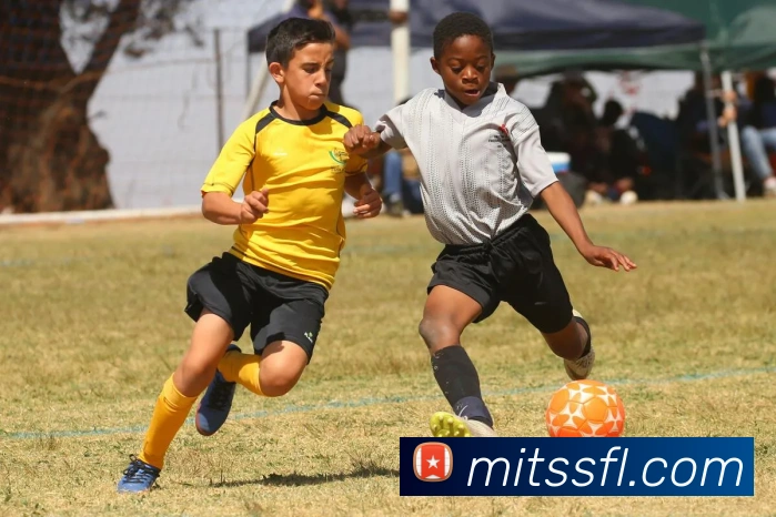 数据防护可视化